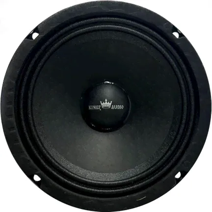Kingz Audio WP-65 эстрадная акустика от ReLoud